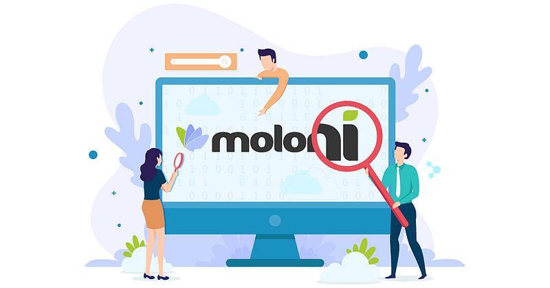 moloni ecra