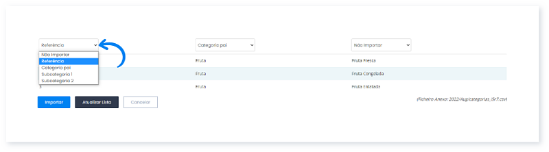 Importar categorias a partir de um ficheiro XLS, XLSX ou CSV 7